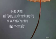 充满了正能量的金句,正能量金句的力量