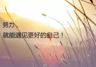 致自己心静的句子,心灵宁静的智慧箴言