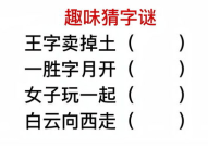 特别难的字谜,挑战极限的字谜解析之旅