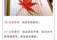 四句成语大全,四句汇聚人生哲理