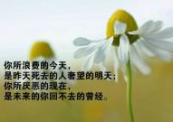 励志语录正能量句子,正能量励志语录精选