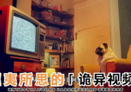 看世界奇闻异事,揭秘世界各地的神秘现象与奇异事件